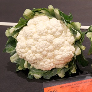 Cauliflower F.1 Hybrid Seeds