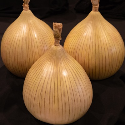 Large Dressed Onion Reselected Championship Stock 
